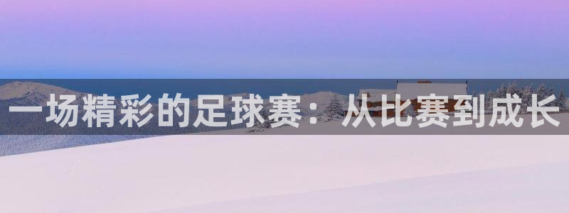 一场精彩的足球赛：从比赛到成长
