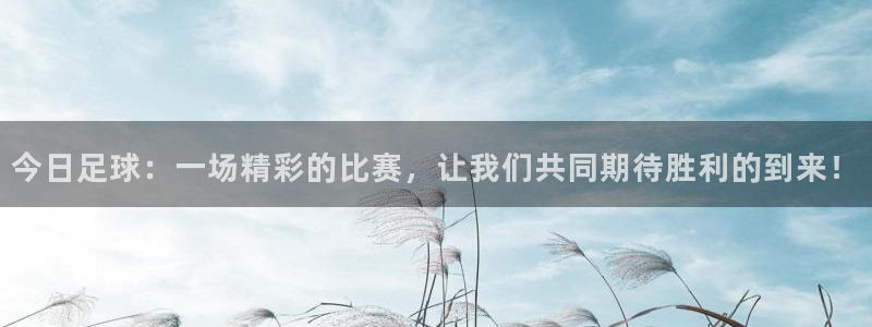 今日足球：一场精彩的比赛，让我们共同期待胜利的到来！