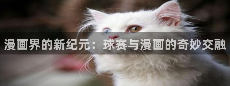  漫画界的新纪元：球赛与漫画的奇妙交融