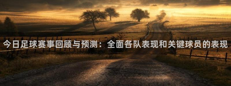  pg体育官网入口：今日足球赛事回顾与预测：全面各队表现和关键