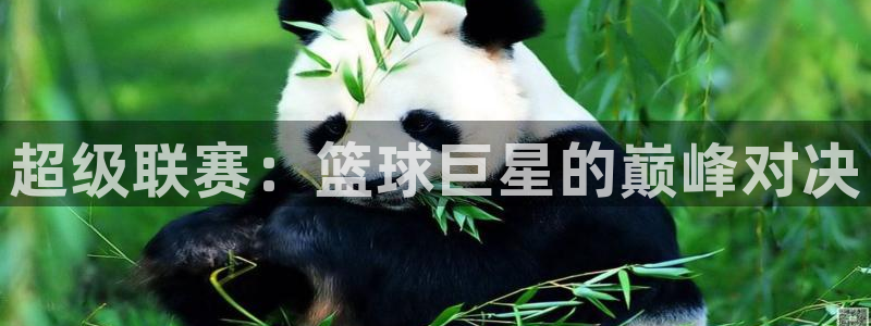  pg体育下载地址是什么：超级联赛：篮球巨星的巅峰对决