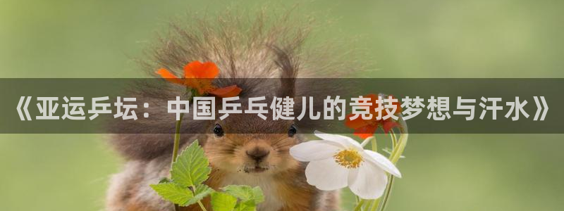  苹果体育app改名了吗：《亚运乒坛：中国乒乓健儿的竞技梦想与
