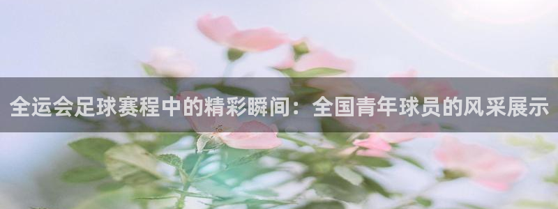 苹果手机看体育直播用什么软件：全运会足球赛程中的精彩瞬间：全