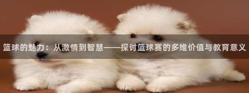 苹果休闲游戏排行：篮球的魅力：从激情到智慧——探讨篮球赛的多