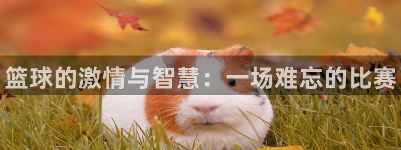 pg体育平台下载入口官网：篮球的激情与智慧：一场难忘的比赛