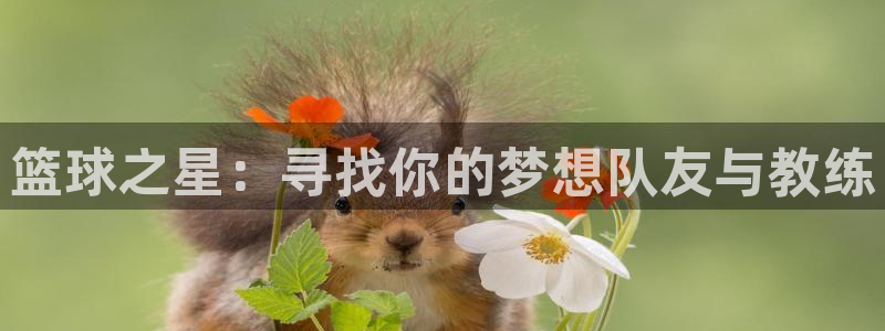 苹果自带体育软件怎么用
