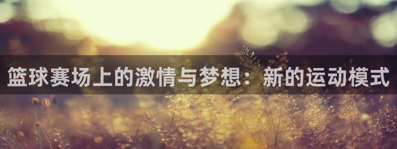 苹果手机怎么看体育频道直播：篮球赛场上的激情与梦想：新的运动