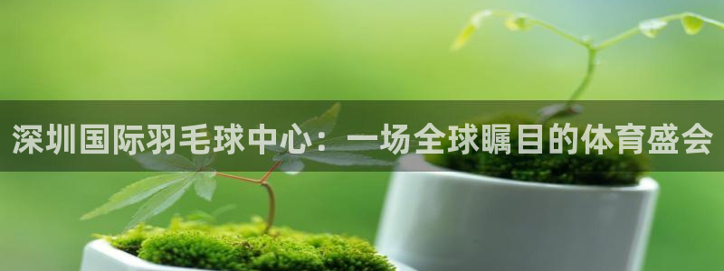  pg体育平台：深圳国际羽毛球中心：一场全球瞩目的体育盛会