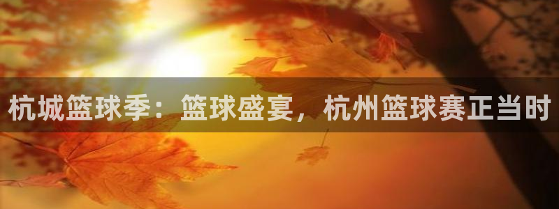 PG体育的下载链接或官方网站：杭城篮球季：篮球盛宴，杭州篮球
