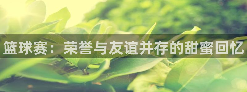  pg体育免费观看全部：篮球赛：荣誉与友谊并存的甜蜜回忆