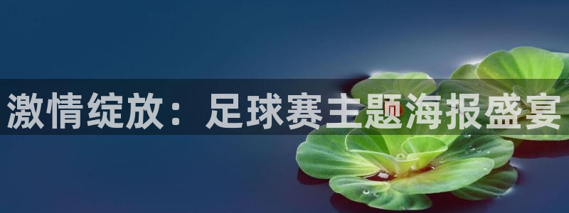 PG体育怎么玩：激情绽放：足球赛主题海报盛宴