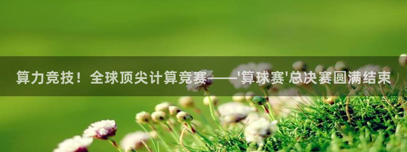  苹果直播网体育nba：算力竞技！全球顶尖计算竞赛——\'算球