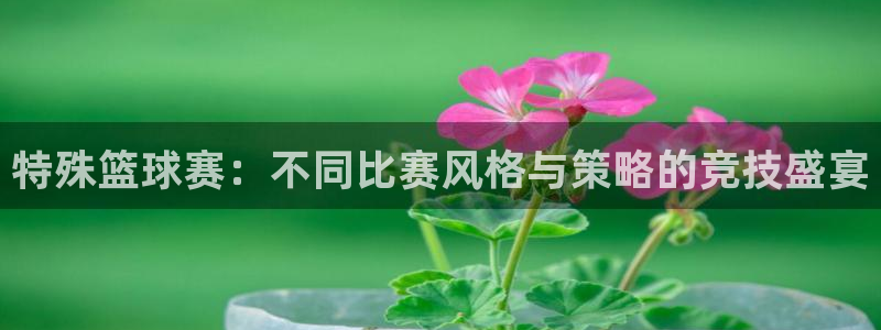 平果体育馆开放时间：特殊篮球赛：不同比赛风格与策略的竞技盛宴