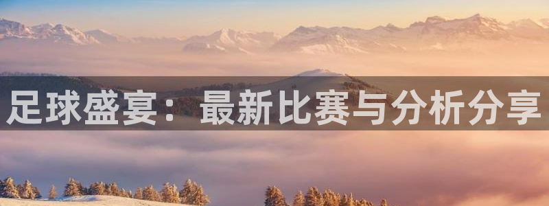  苹果手机怎么看体育直播赛事：足球盛宴：最新比赛与分析分享